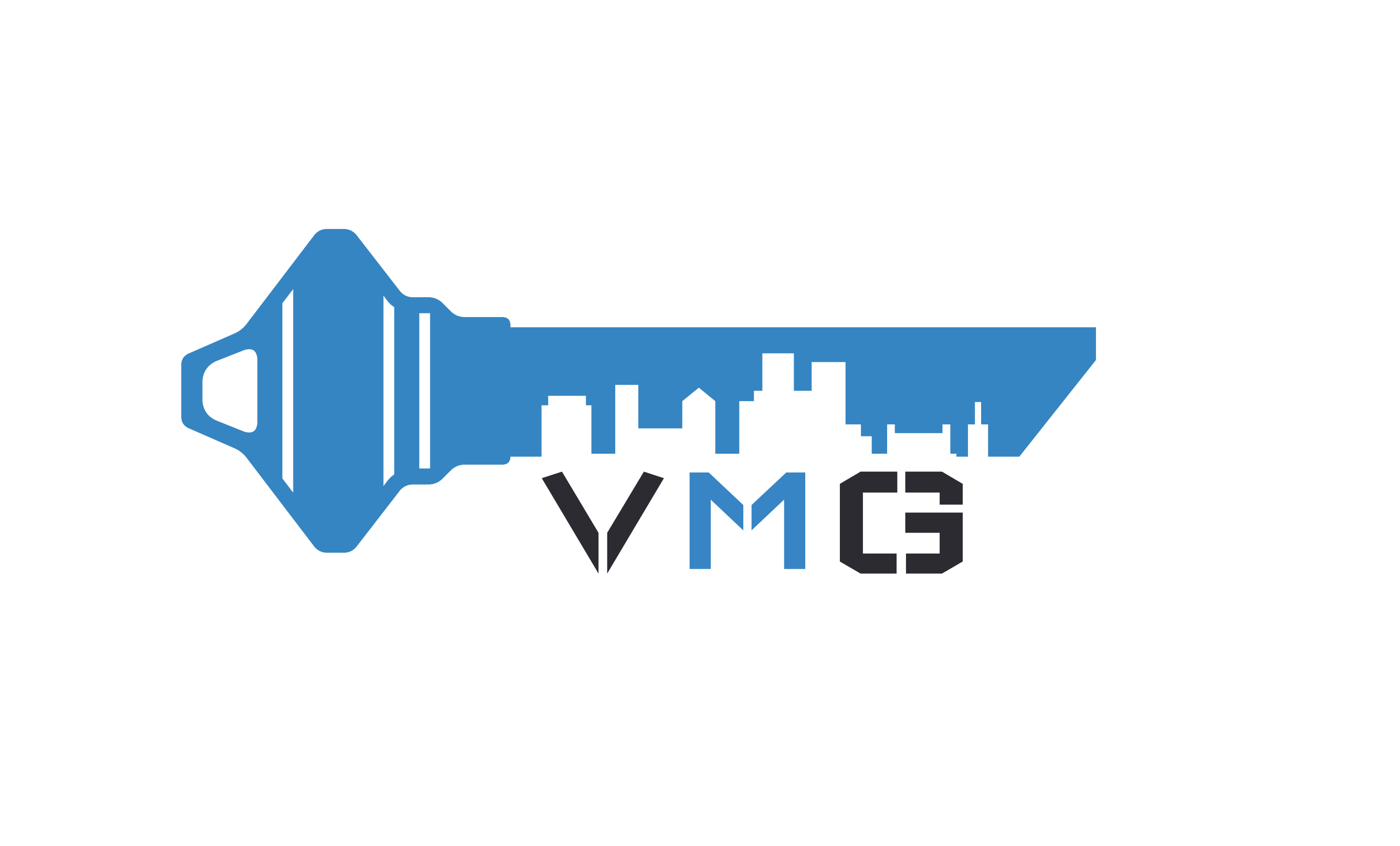 live vmg logo