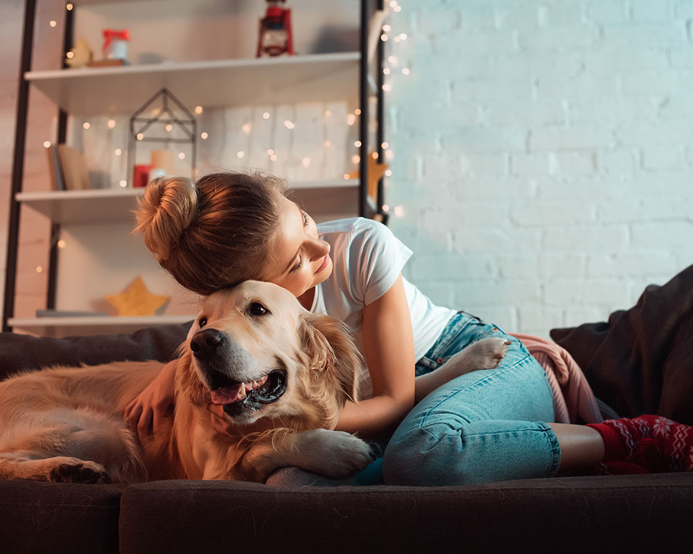 Young woman hugging her dog at home on the couch