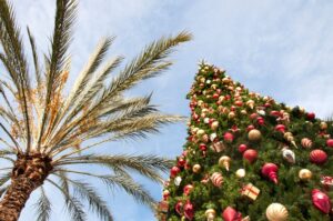 Decorated palm tree and Christmas tree