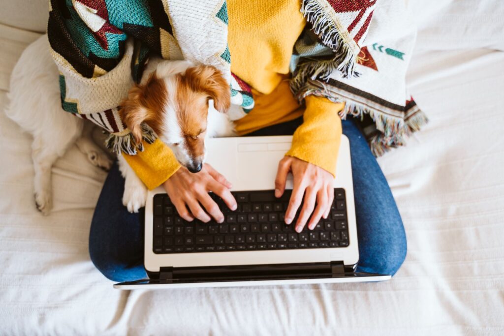 Person cuddling dog and searching for renters insurance on their laptop.